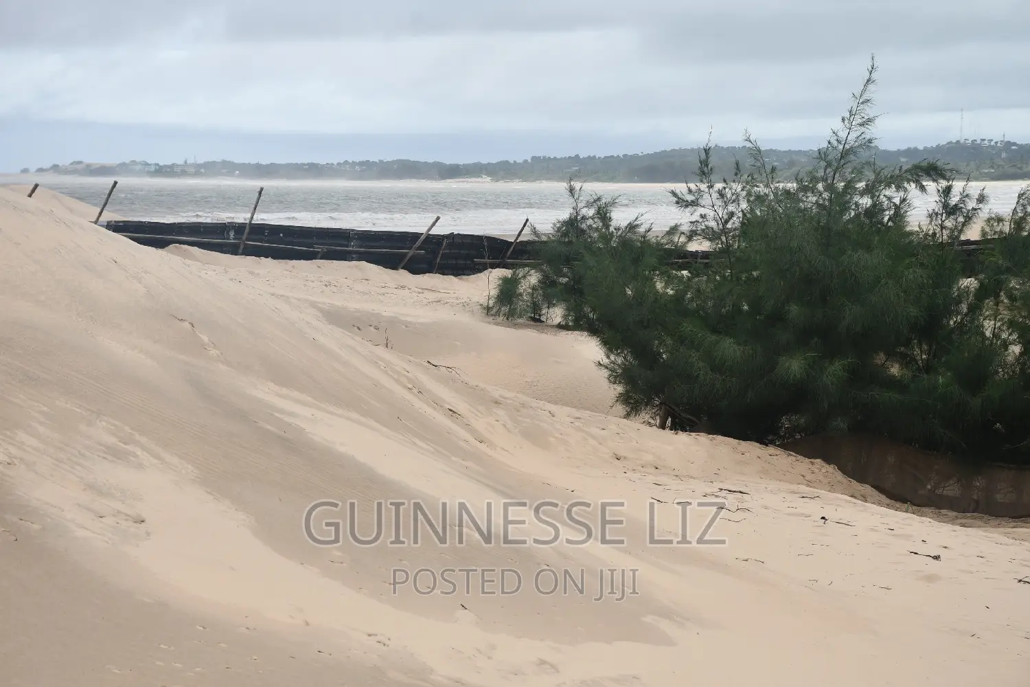 6M Beach Land for Sale Mamburui Malindi