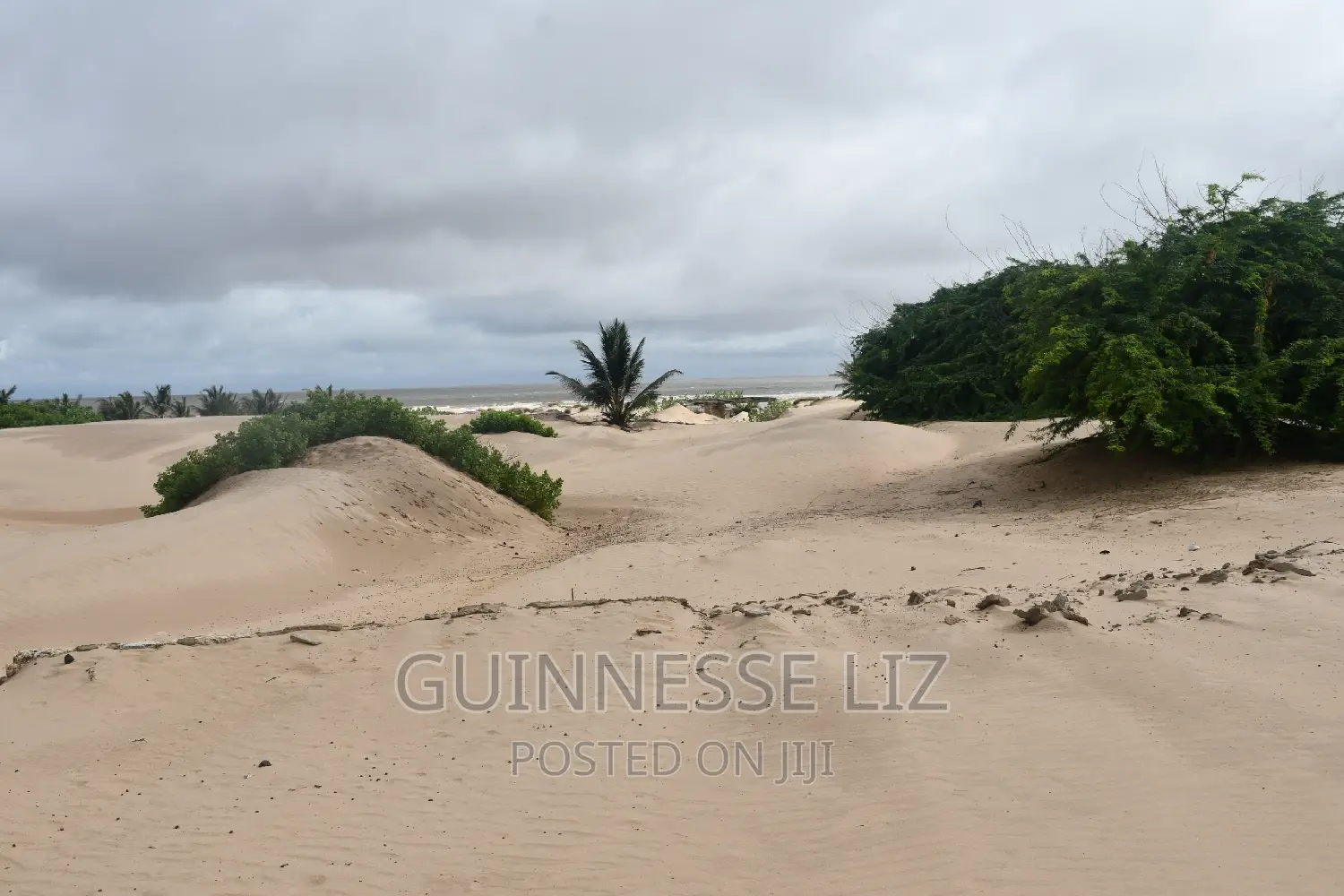 6M Beach Land for Sale Mamburui Malindi
