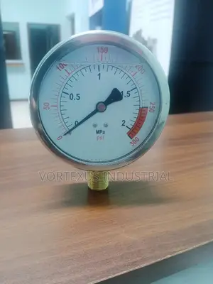 Pressure Gauge: 0-20 Bar