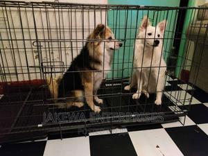 Dog Cage Collapsible Large Stainless Steel Foldable Kennel - thumbnail 2