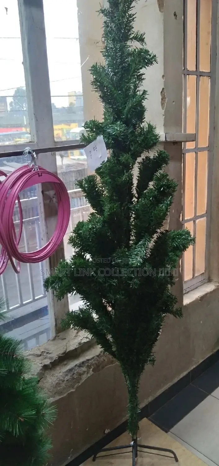 Cyprus Christmas Tree