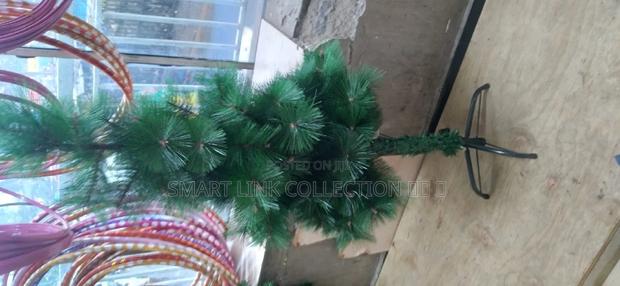 Pine Christmas Tree  