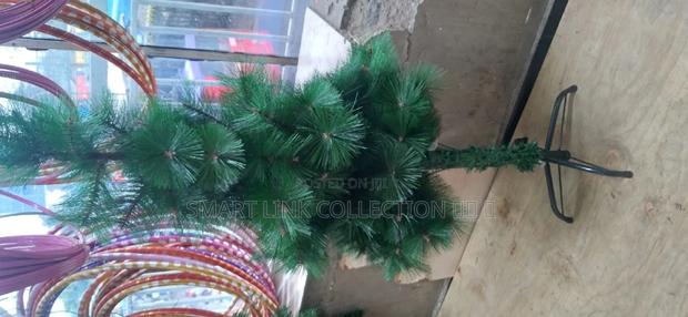 Pine Christmas Tree   - thumbnail 2