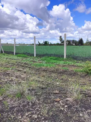 Isinya Prime Plots