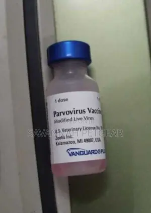 Parvovirus Vaccine for Dogs and Puppies -Single Dose