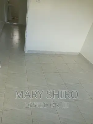 4bdrm Mansion in South B for rent