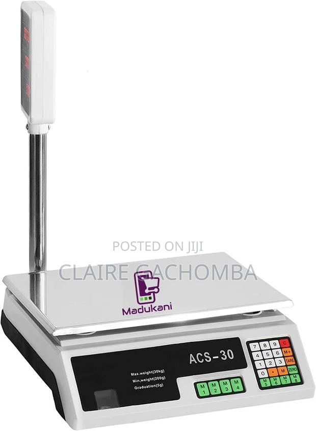 ACS 30 Scale ACS 30 Scale - main view