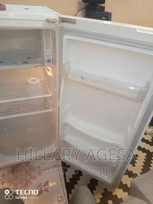 Fridge Leaking Repair