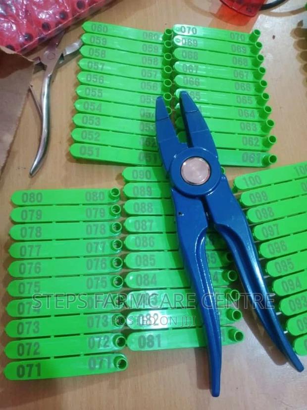 Rabbit Numbered Ear Tags and Applicator