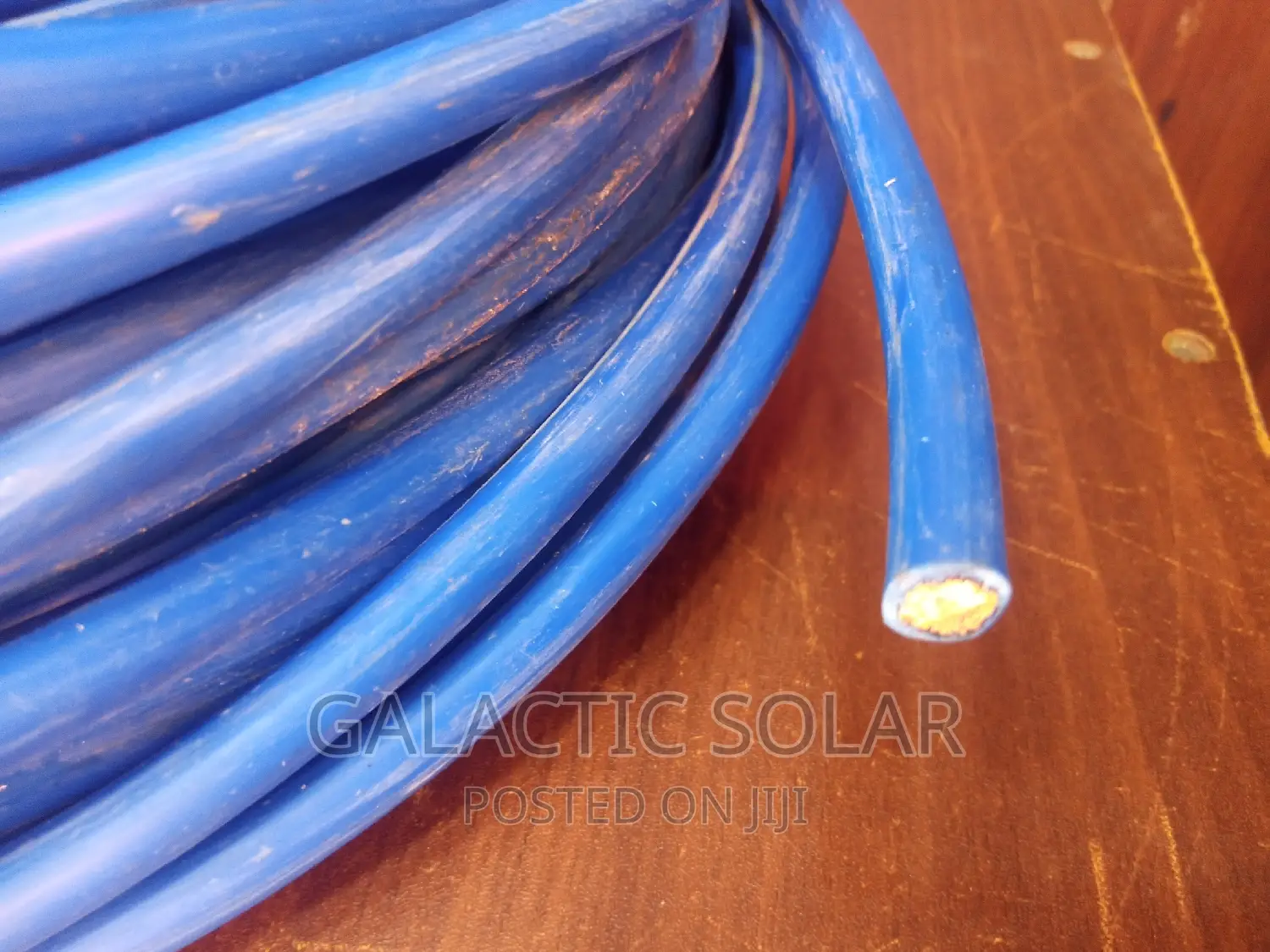 25mm Auto Cable Blue