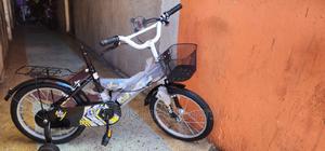 Lion King Size16 - main view