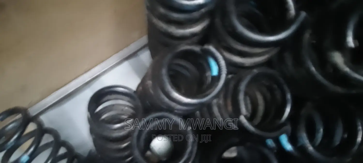Mazda Ateza Axela CXT Heavy Coil Springs 