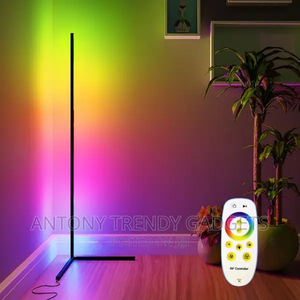 Smart Modern LED Floor Lamps