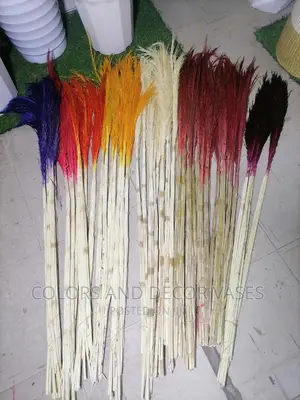 Grass Pampas KSH 150 for 5 Sticks