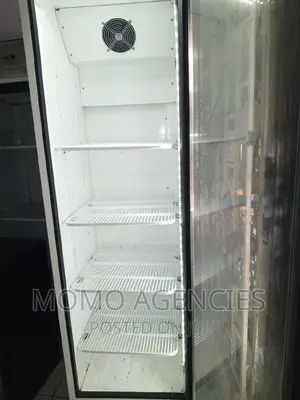 Display Fridge Soda 500l