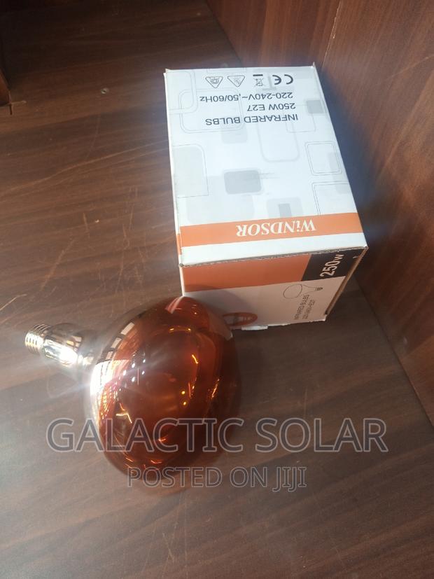 Chicken Bulb Infrared Bulb - thumbnail 2