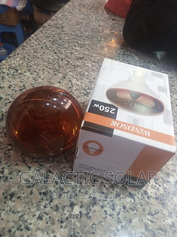 Chicken Bulb Infrared Bulb - main view