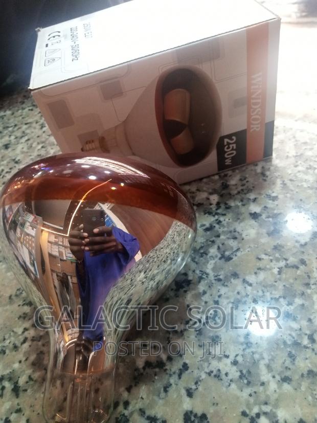 Chicken Bulb Infrared Bulb - thumbnail 2