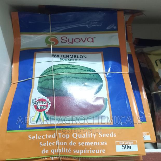 Sukari F1 Watermelon Seeds 50grams - thumbnail 3