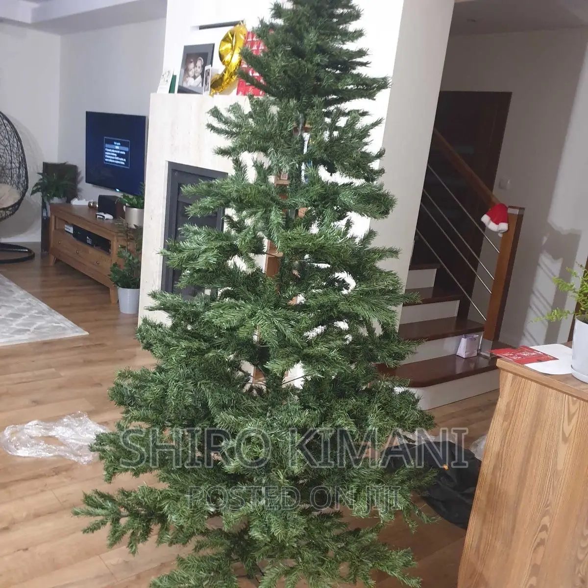 High Quality 12 Feet Christmas Tree Available