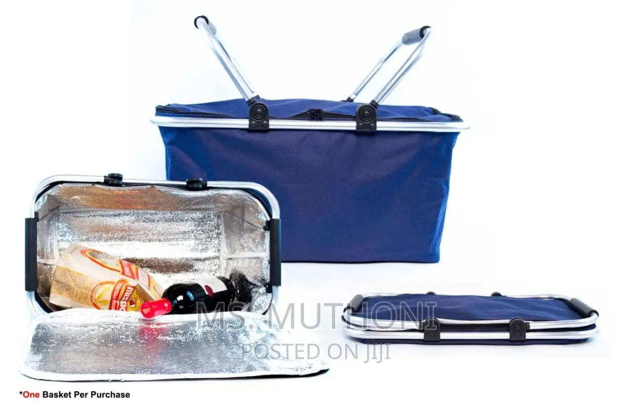 Big Size (30litre) Insulated Picnic Bags With Strong Alumini