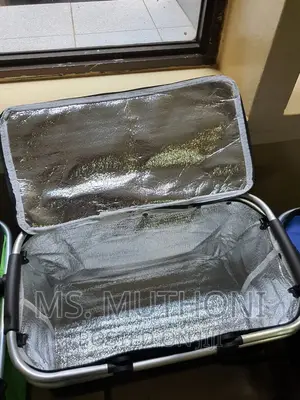 Big Size (30litre) Insulated Picnic Bags With Strong Alumini