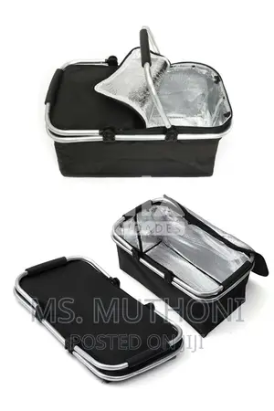 Big Size (30litre) Insulated Picnic Bags With Strong Alumini