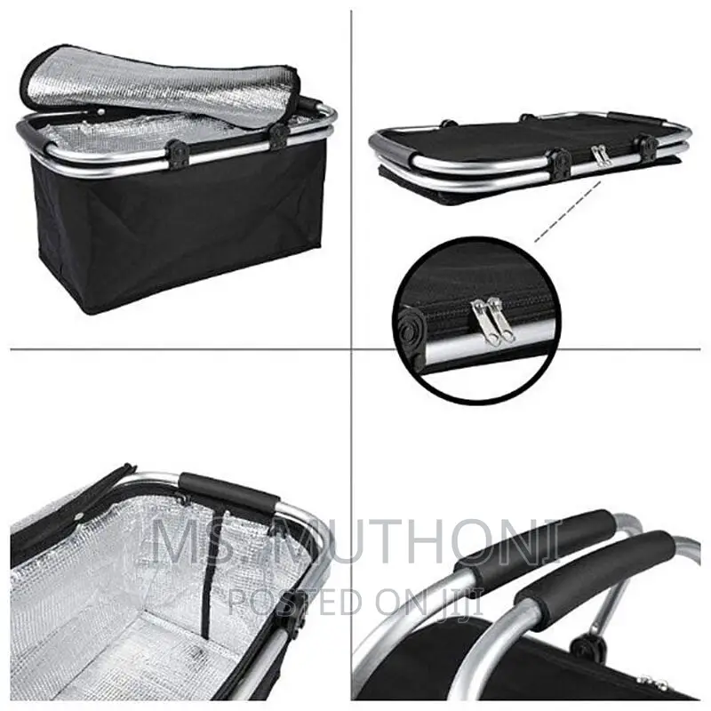 Big Size (30litre) Insulated Picnic Bags With Strong Alumini