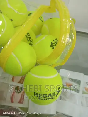 Tennis Balls/Quality Standards/Professional