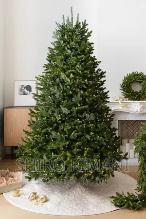 Best Christmas Tree 12 Feet Available