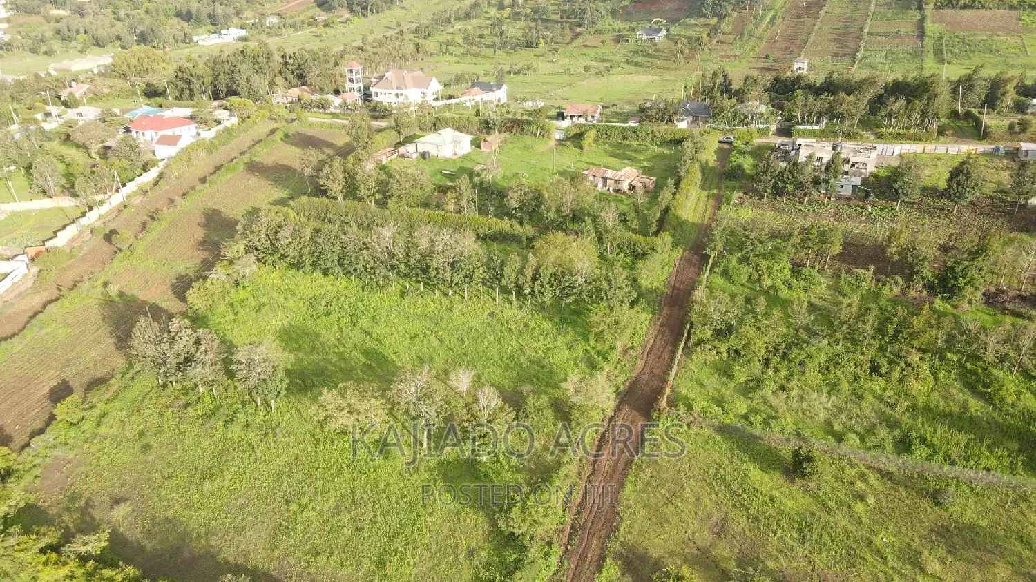 1/4 an Acre Pieces (2)In Kibiku ,Booster Road,At 5.5m