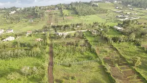 1/4 an Acre Pieces (2)In Kibiku ,Booster Road,At 5.5m