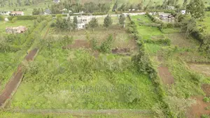 1/4 an Acre Pieces (2)In Kibiku ,Booster Road,At 5.5m