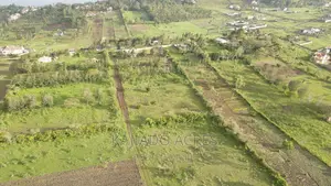 1/4 an Acre Pieces (2)In Kibiku ,Booster Road,At 5.5m