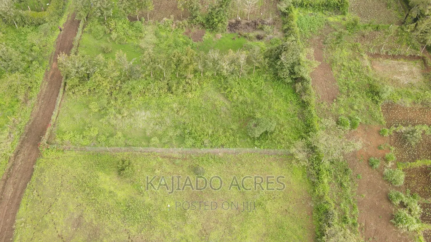 1/4 an Acre Pieces (2)In Kibiku ,Booster Road,At 5.5m