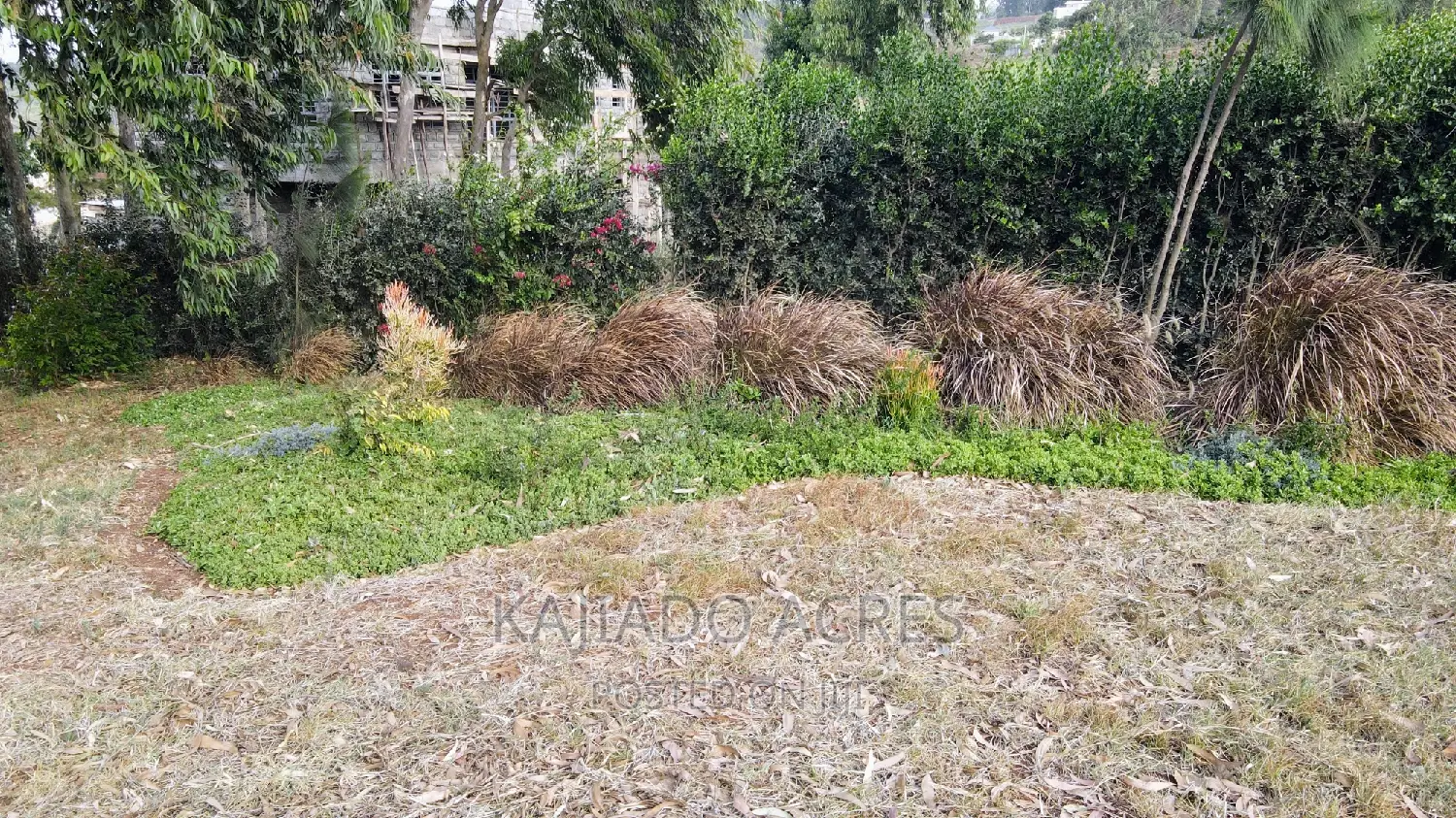 Prime Scenic 2.3 Acres in Kibiko ,Lemiso at 70m