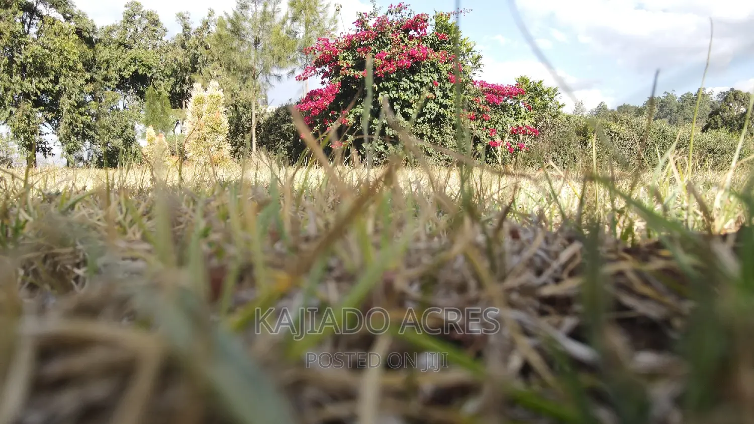 Prime Scenic 2.3 Acres in Kibiko ,Lemiso at 70m
