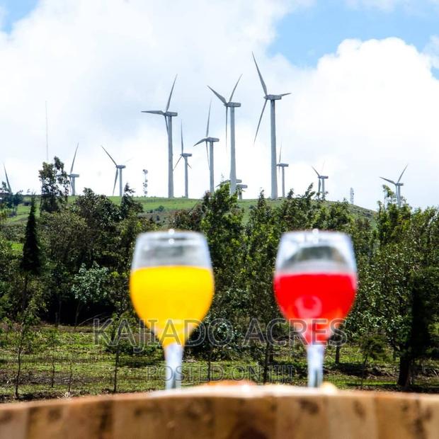 Prime Scenic 2.3 Acres in Kibiko ,Lemiso at 70m - thumbnail 10