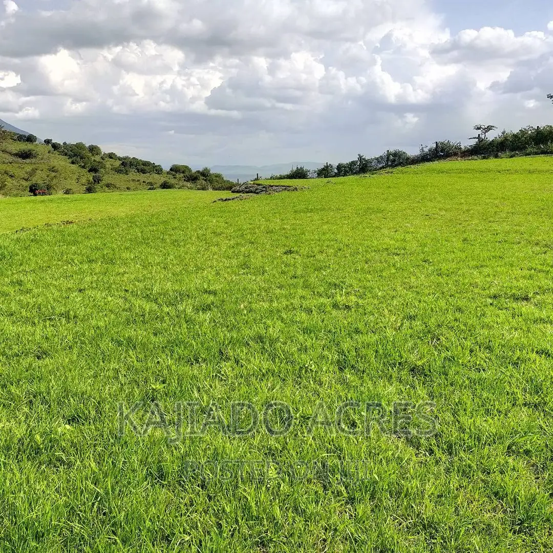 Prime Scenic 2.3 Acres in Kibiko ,Lemiso at 70m