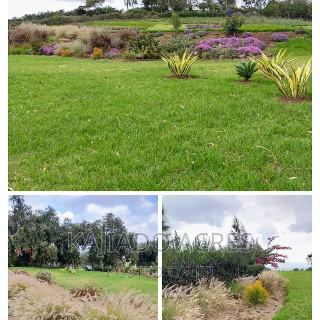 Prime Scenic 2.3 Acres in Kibiko ,Lemiso at 70m