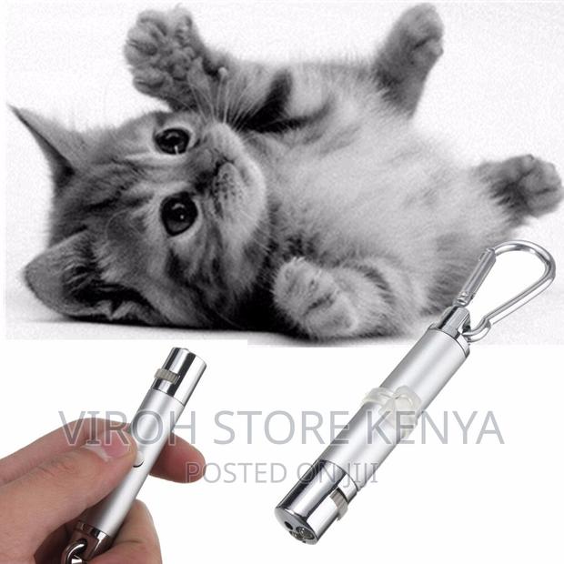 Cat's Game Point Laser Pointer - main view