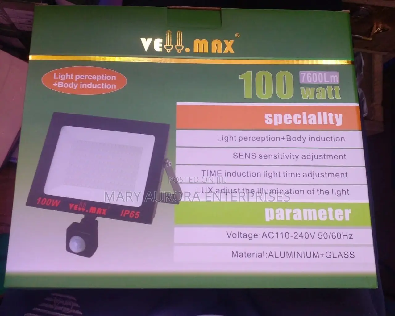 100watts AC Floodlight With Sensor