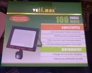 100watts AC Floodlight With Sensor
