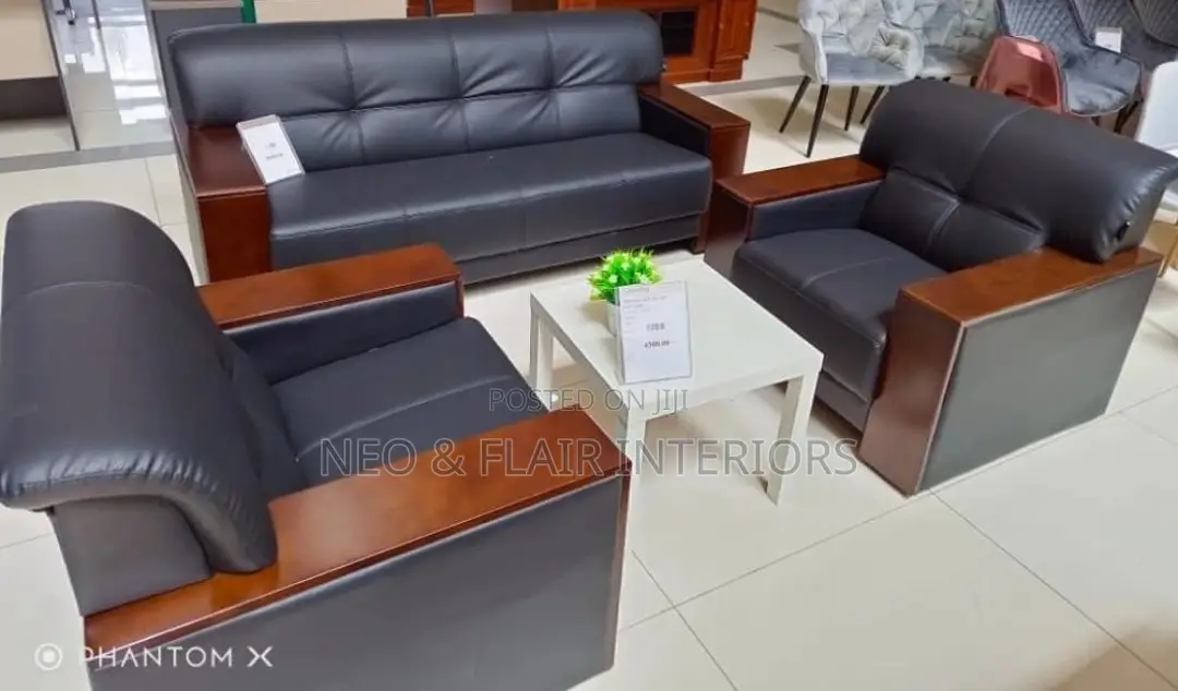 Executive Office Lounge Couche
