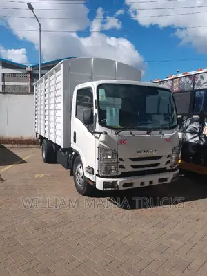 Isuzu NMR Truck