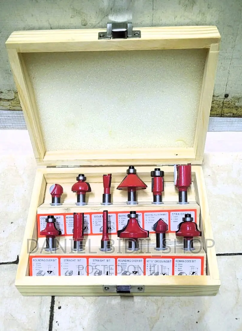 Professional 12 PCS Router Bit Set