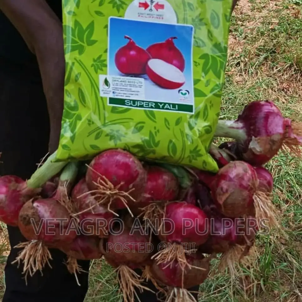 Onion Super Yali 500gm