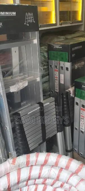 Telescopic Ladder