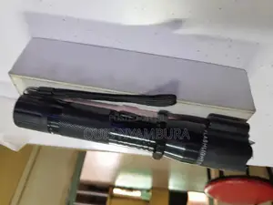 Light Flashlights