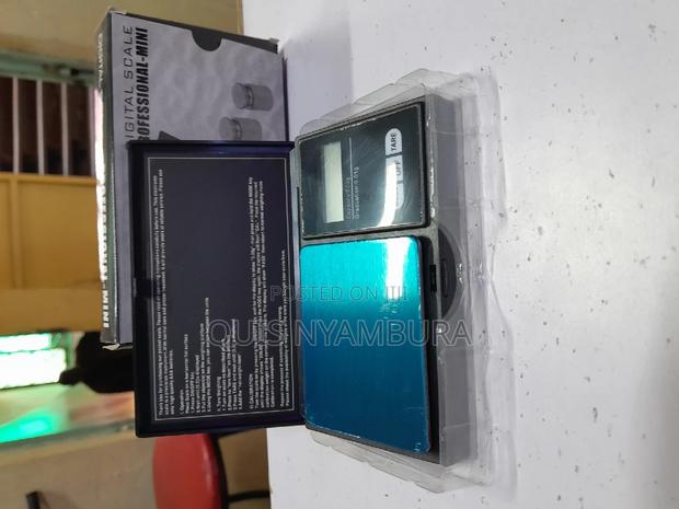 Portable Electronic Scale